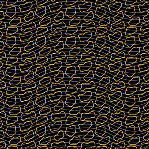 holographic Big- 242